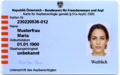 Verfahrenskarte (gr&uuml;ne Karte)